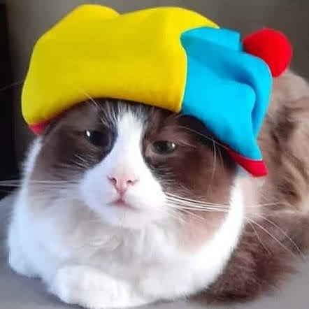 Photo de Hugo Cossart